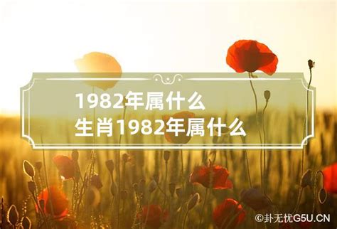 1982 属什么